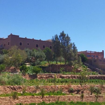Maison D'Hotes Dar Panorama Skoura Kültér fotó