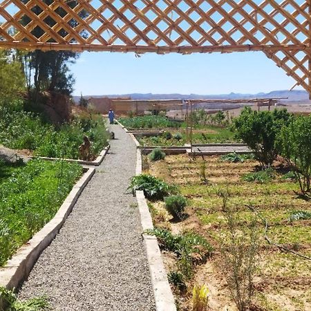 Maison D'Hotes Dar Panorama Skoura Kültér fotó