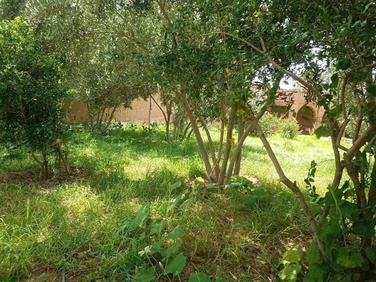 Maison D'Hotes Dar Panorama Skoura Kültér fotó