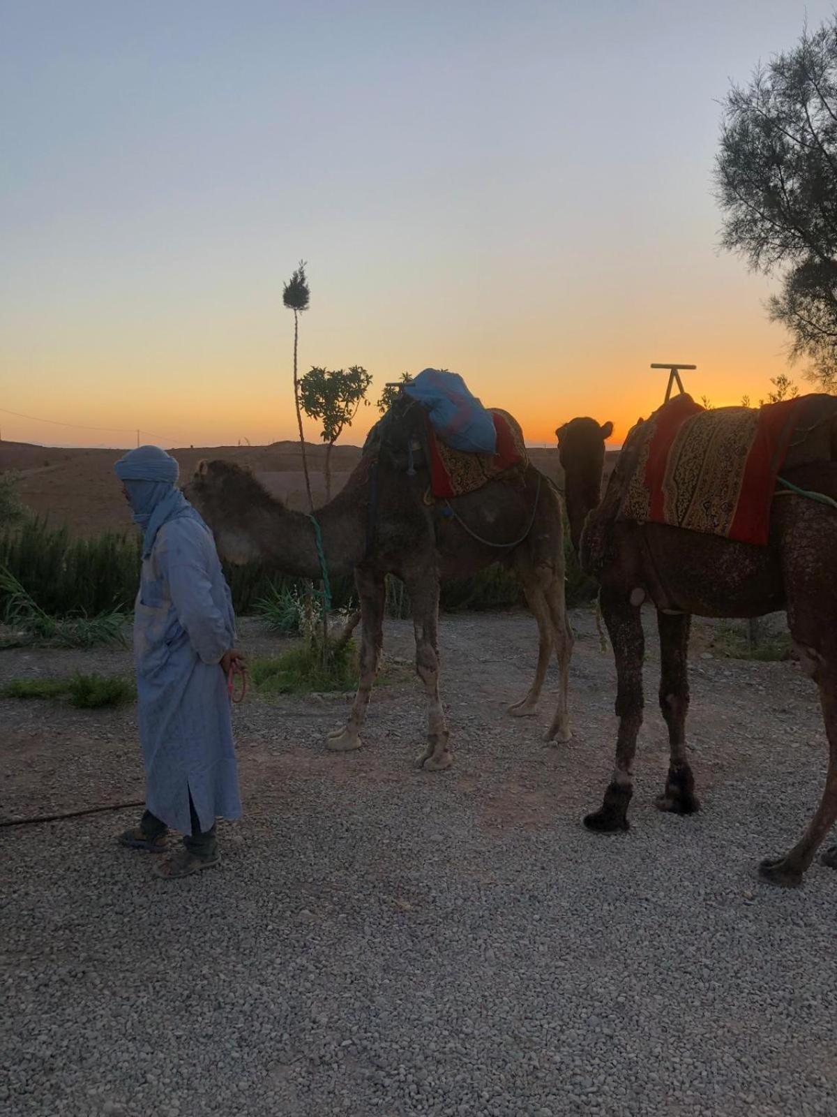 Maison D'Hotes Dar Panorama Skoura Kültér fotó