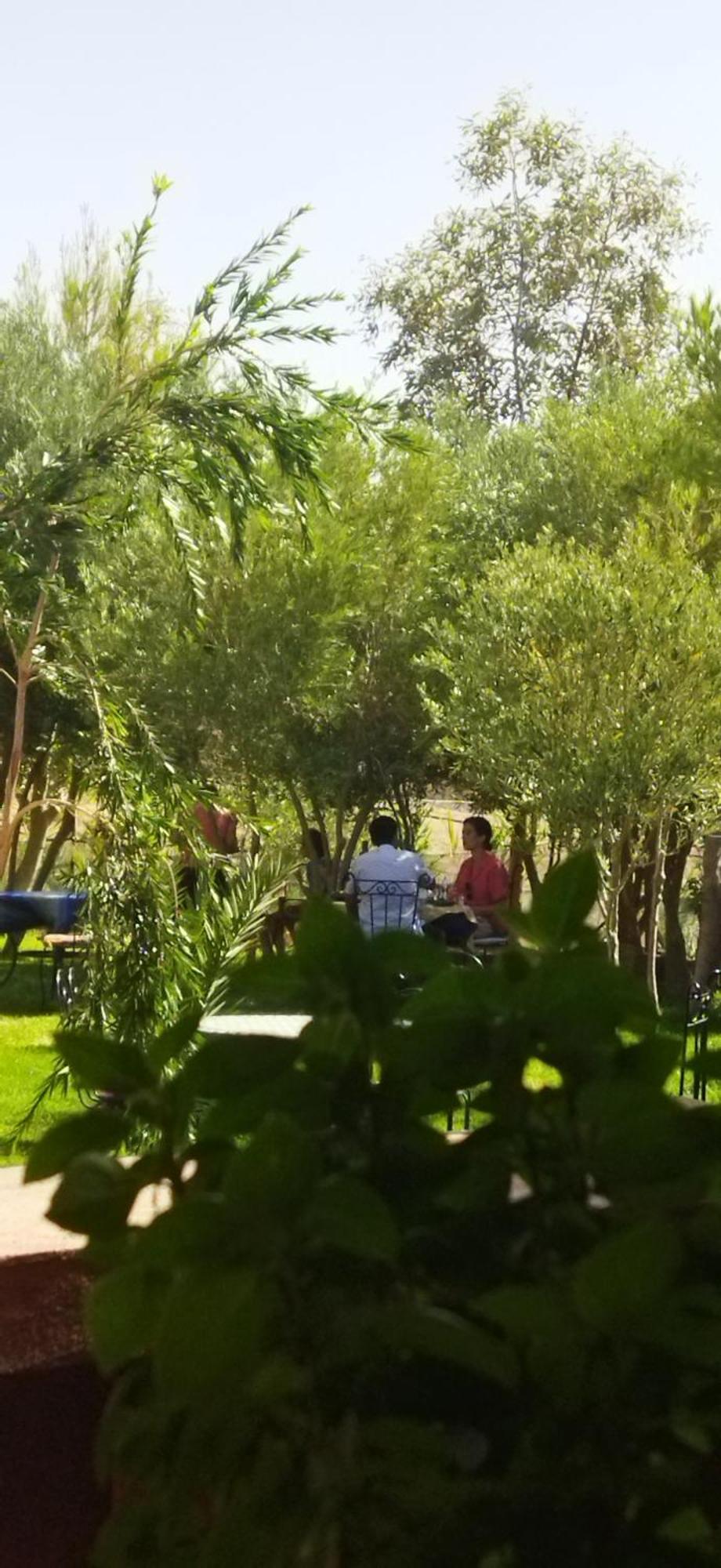 Maison D'Hotes Dar Panorama Skoura Kültér fotó