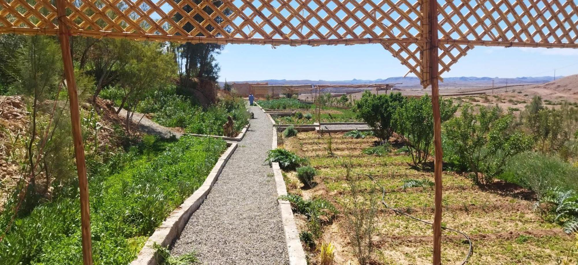 Maison D'Hotes Dar Panorama Skoura Kültér fotó
