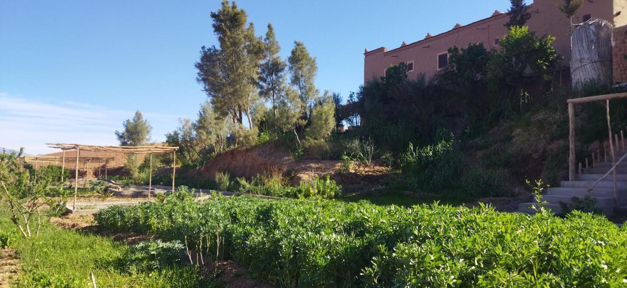 Maison D'Hotes Dar Panorama Skoura Kültér fotó