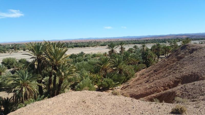 Maison D'Hotes Dar Panorama Skoura Kültér fotó